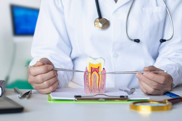 Professional Emergency Dentist in WI